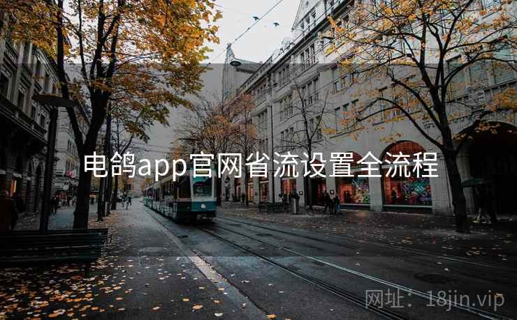 电鸽app官网省流设置全流程