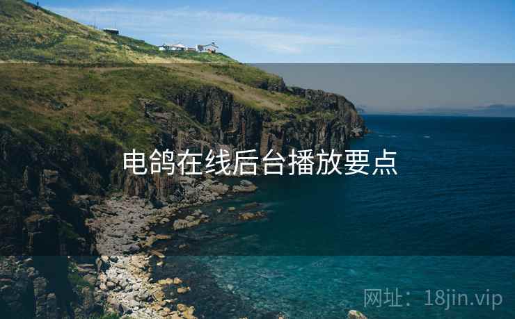 电鸽在线后台播放要点