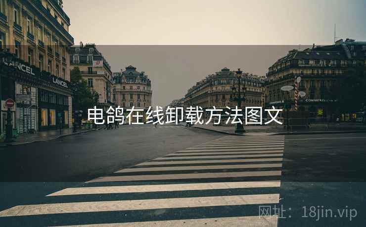 电鸽在线卸载方法图文