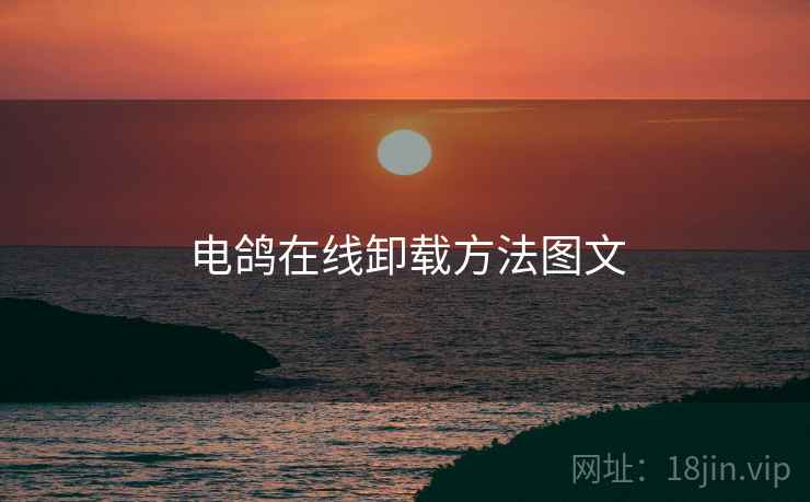 电鸽在线卸载方法图文