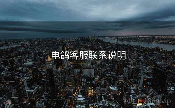电鸽客服联系说明