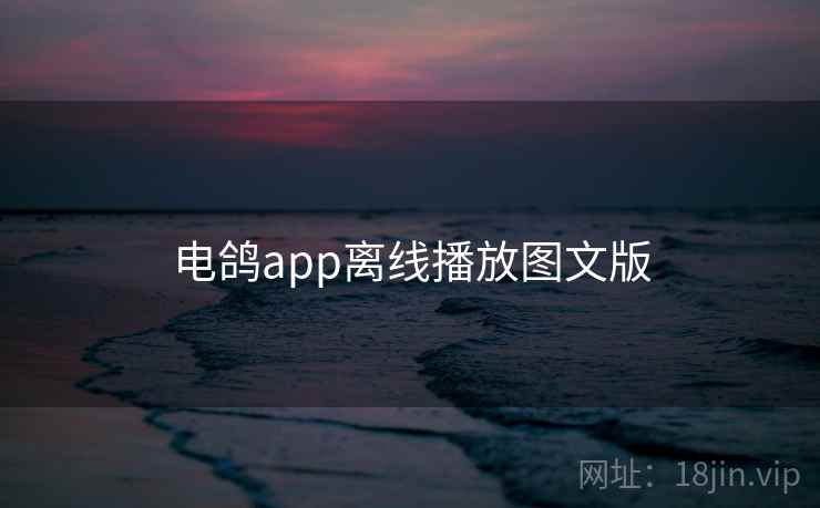 电鸽app离线播放图文版