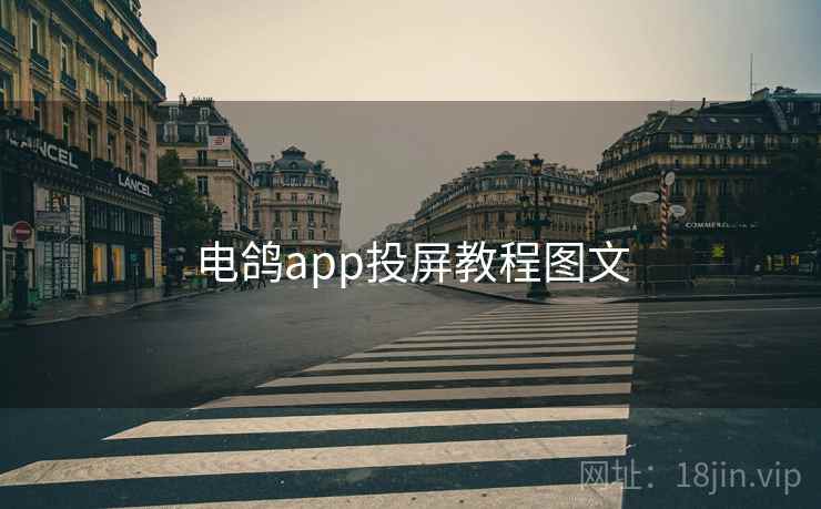电鸽app投屏教程图文