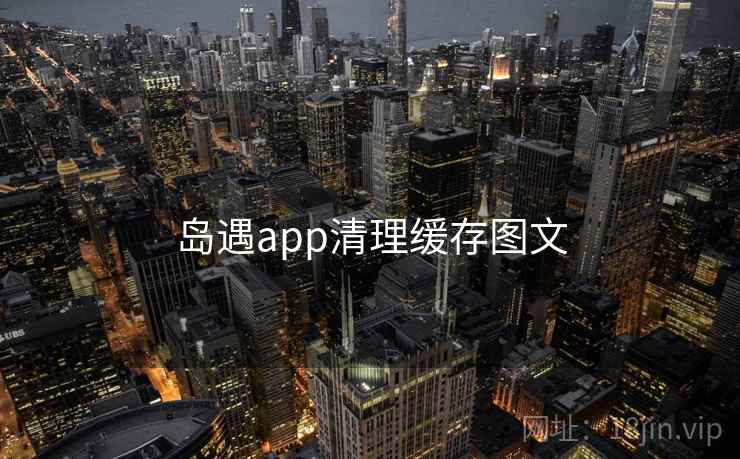 岛遇app清理缓存图文