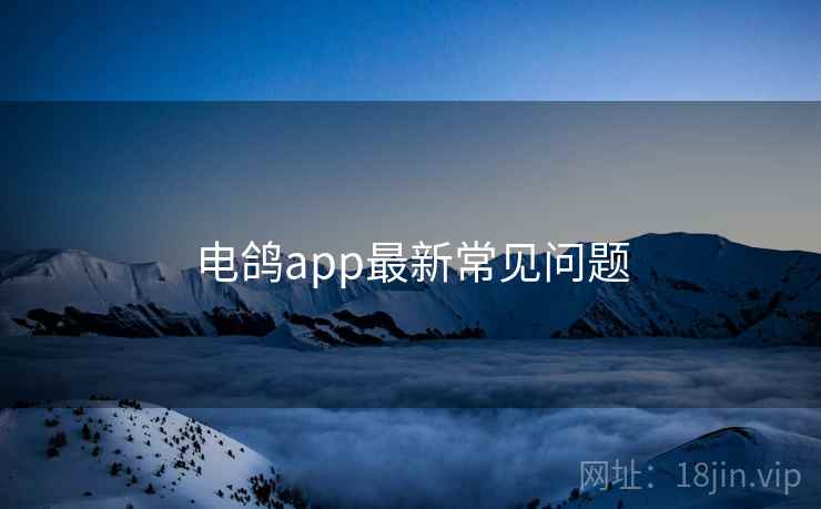 电鸽app最新常见问题