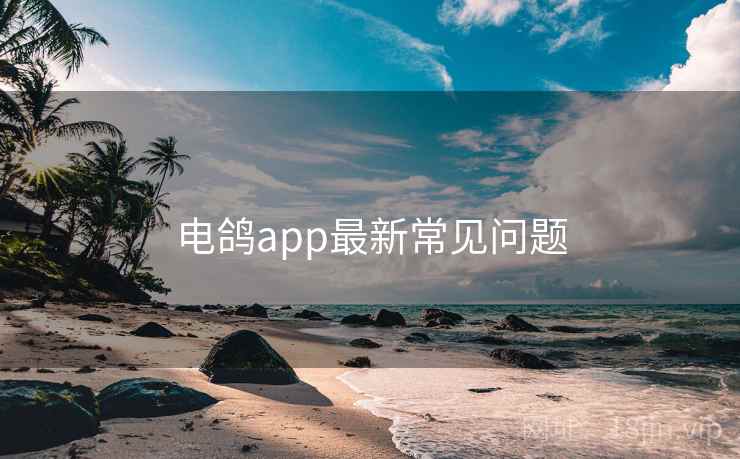电鸽app最新常见问题