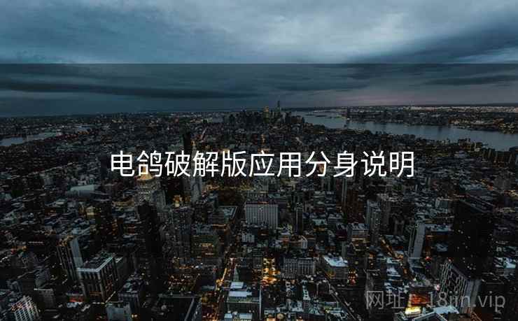 电鸽破解版应用分身说明