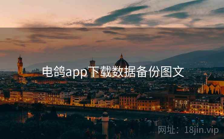 电鸽app下载数据备份图文