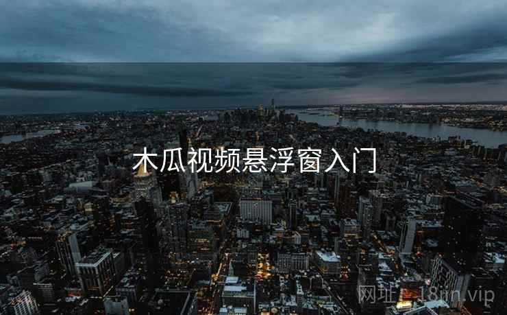 木瓜视频悬浮窗入门