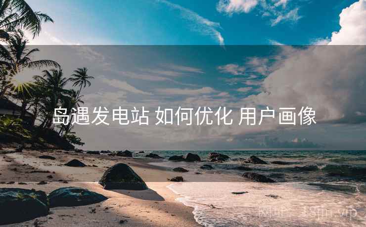 岛遇发电站 如何优化 用户画像