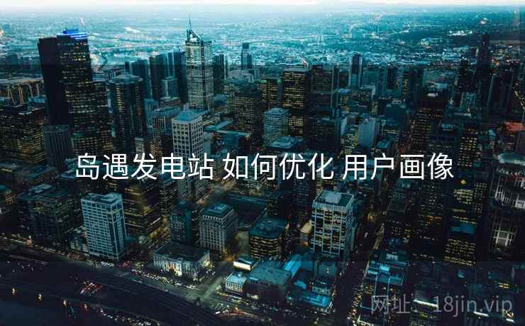 岛遇发电站 如何优化 用户画像