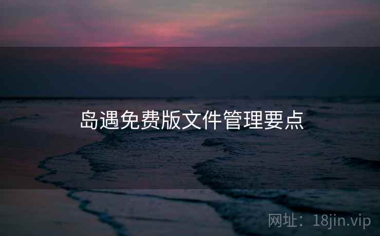 岛遇免费版文件管理要点