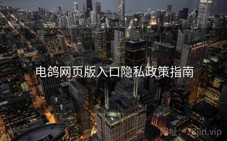 电鸽网页版入口隐私政策指南