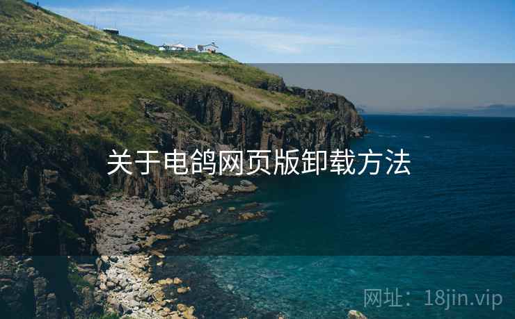 关于电鸽网页版卸载方法