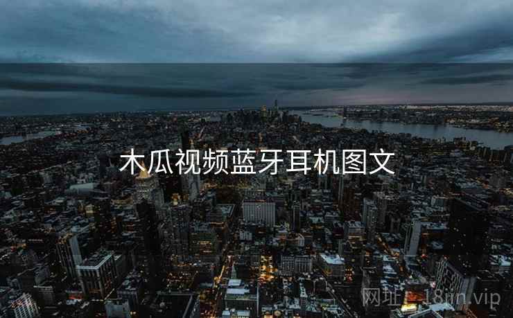木瓜视频蓝牙耳机图文