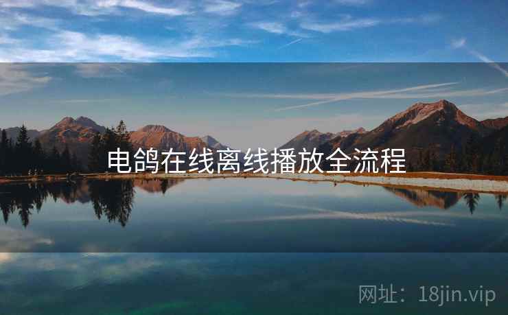 电鸽在线离线播放全流程