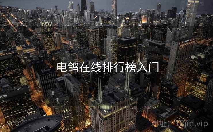 电鸽在线排行榜入门