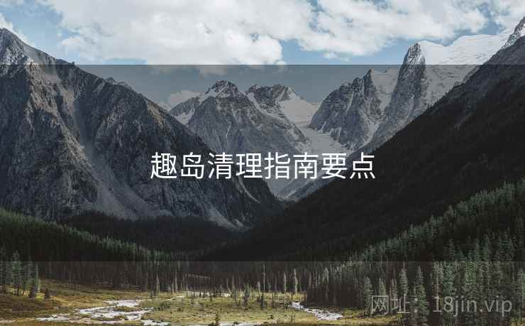 趣岛清理指南要点
