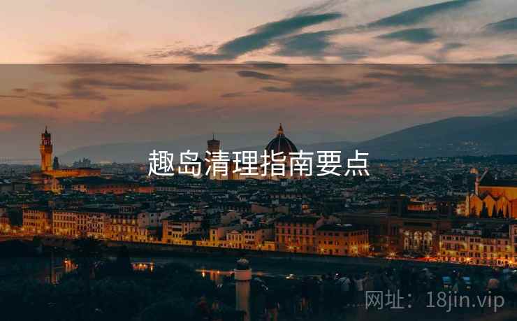 趣岛清理指南要点