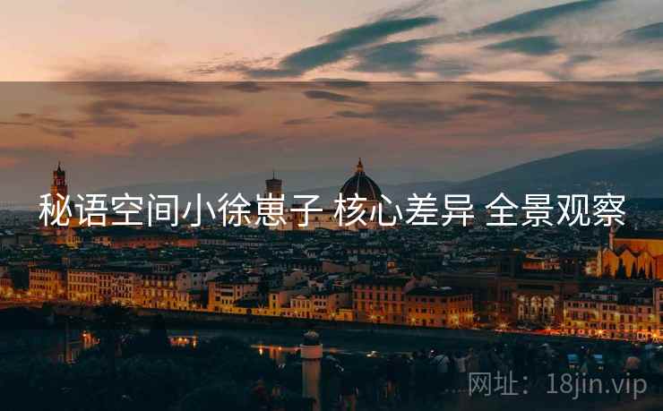 秘语空间小徐崽子 核心差异 全景观察