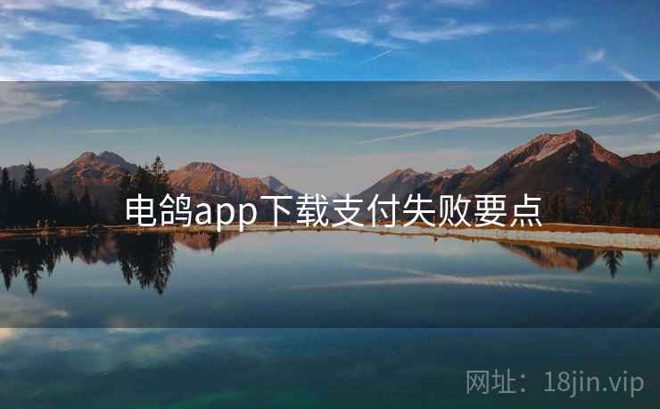 电鸽app下载支付失败要点