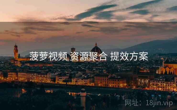 菠萝视频 资源聚合 提效方案