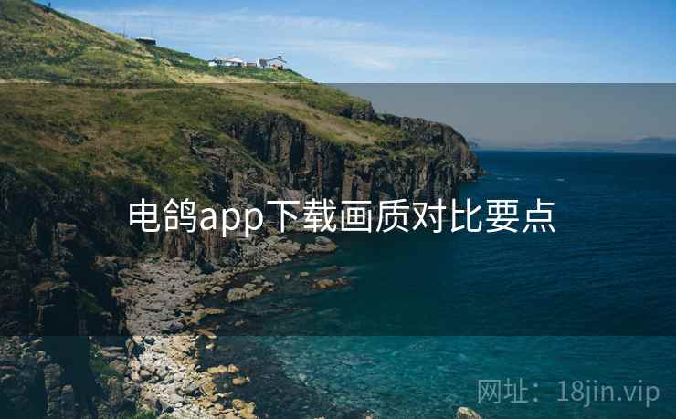 电鸽app下载画质对比要点