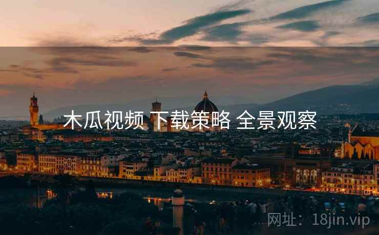 木瓜视频 下载策略 全景观察