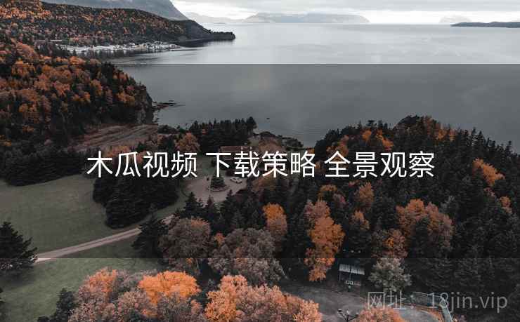 木瓜视频 下载策略 全景观察