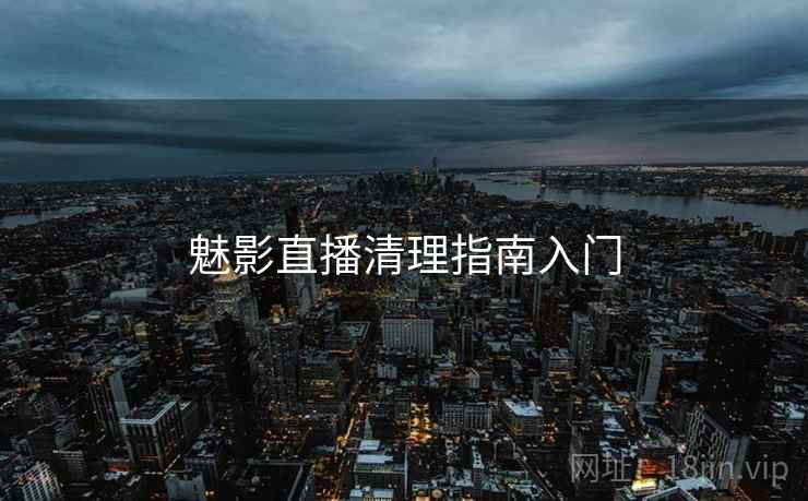 魅影直播清理指南入门