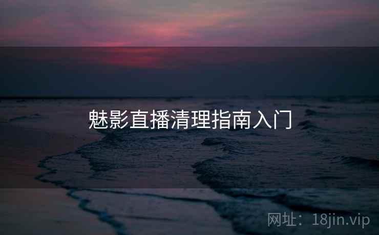 魅影直播清理指南入门