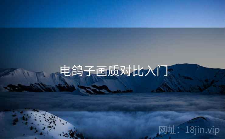 电鸽子画质对比入门