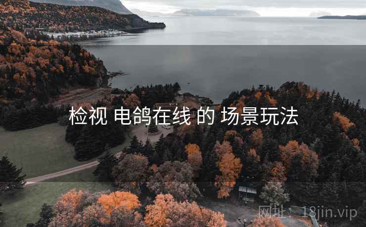 检视 电鸽在线 的 场景玩法