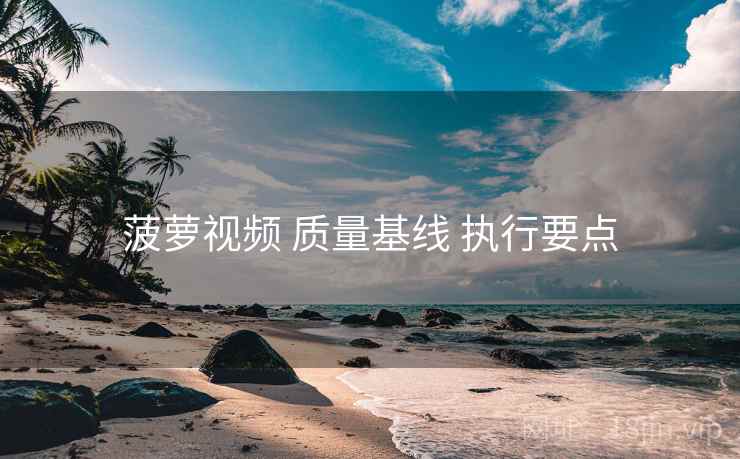 菠萝视频 质量基线 执行要点  第2张