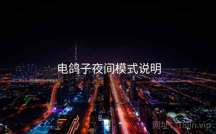 电鸽子夜间模式说明