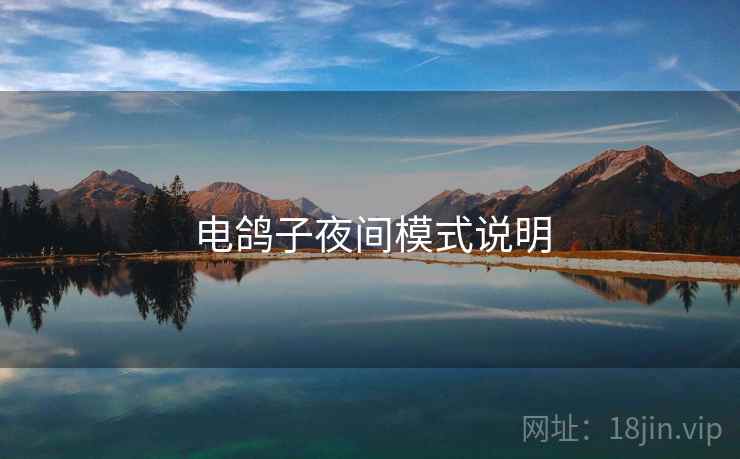 电鸽子夜间模式说明