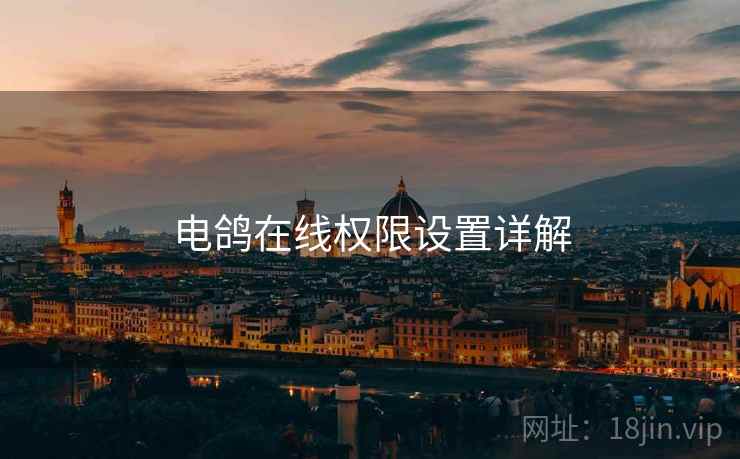 电鸽在线权限设置详解