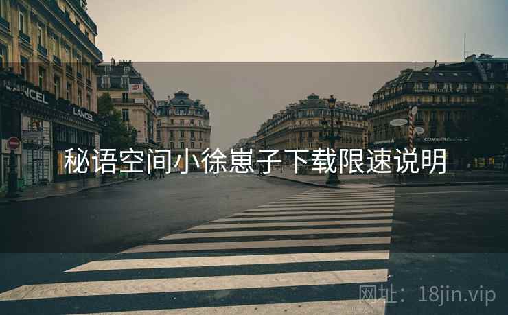 秘语空间小徐崽子下载限速说明