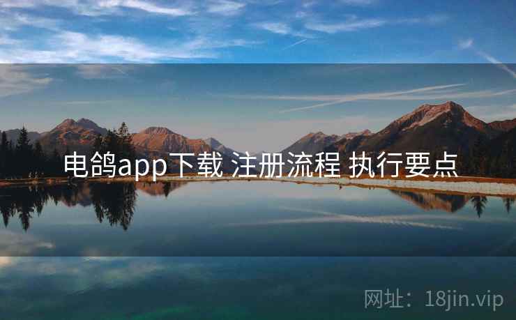 电鸽app下载 注册流程 执行要点