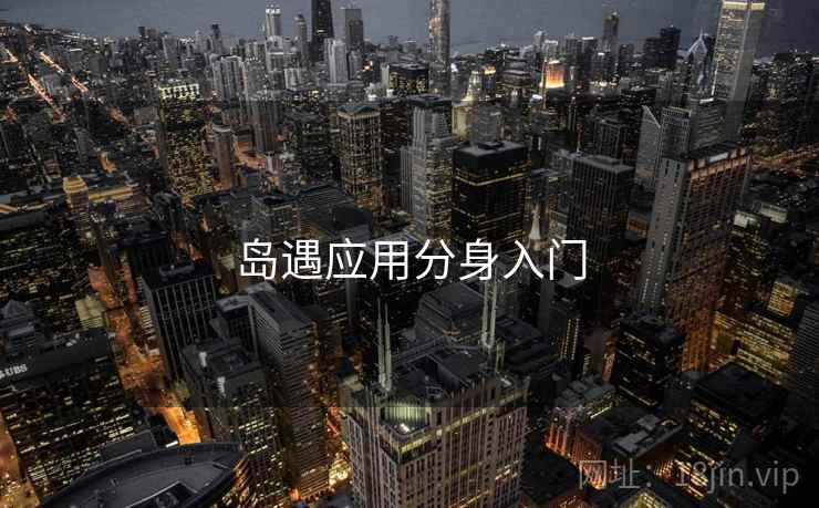 岛遇应用分身入门